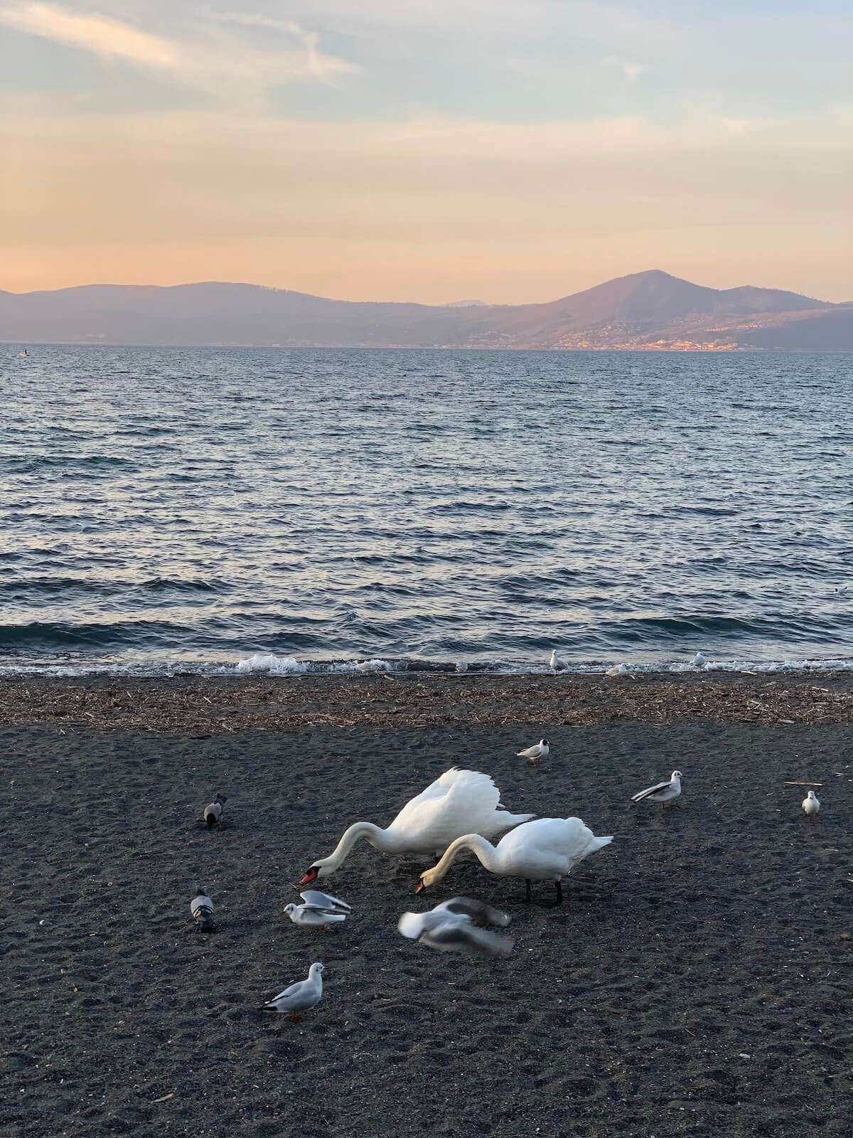 Day trips from Rome: Bracciano, Anguillara and Trevignano Romano